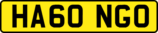 HA60NGO