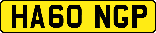HA60NGP