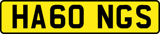 HA60NGS