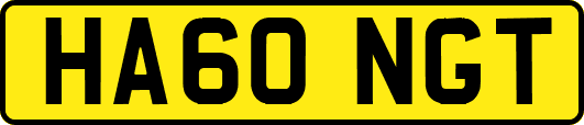 HA60NGT