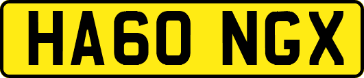 HA60NGX