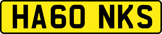 HA60NKS