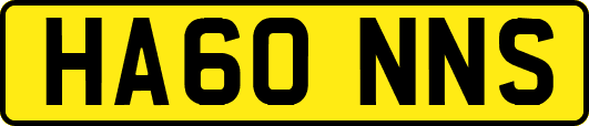 HA60NNS