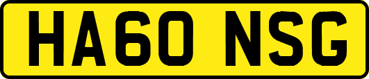 HA60NSG