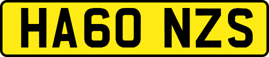 HA60NZS