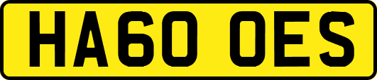 HA60OES