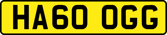 HA60OGG
