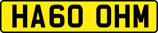 HA60OHM