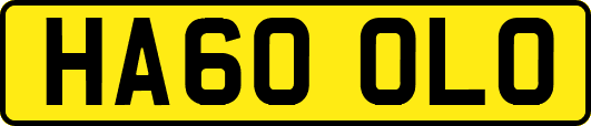 HA60OLO