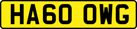 HA60OWG