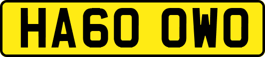 HA60OWO