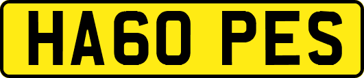 HA60PES