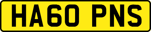 HA60PNS