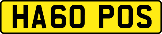 HA60POS