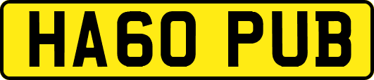 HA60PUB