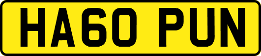 HA60PUN
