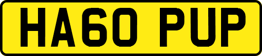 HA60PUP