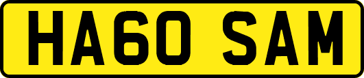 HA60SAM