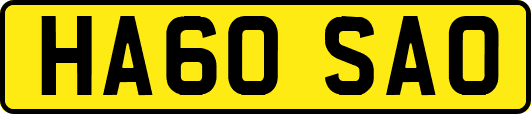 HA60SAO