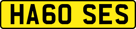 HA60SES