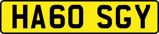 HA60SGY