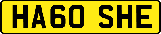 HA60SHE