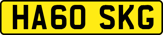 HA60SKG