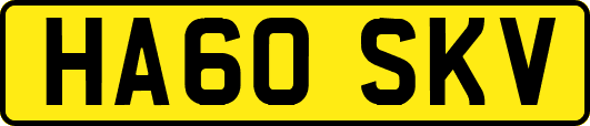 HA60SKV