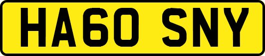 HA60SNY