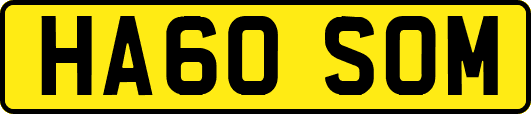 HA60SOM
