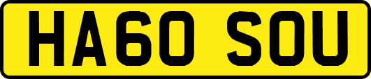 HA60SOU