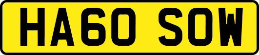 HA60SOW