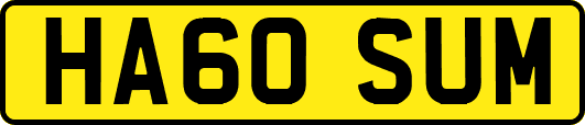 HA60SUM