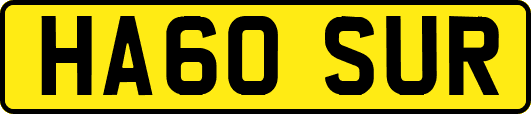 HA60SUR