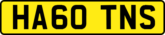 HA60TNS