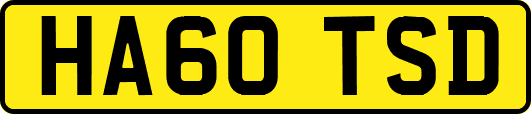 HA60TSD