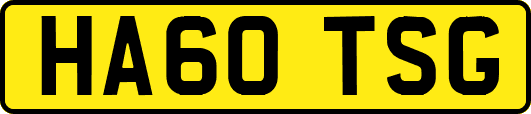 HA60TSG