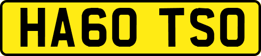 HA60TSO