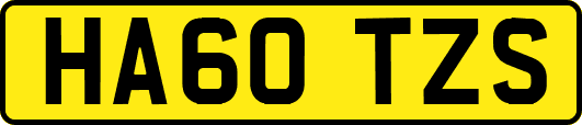 HA60TZS