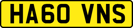 HA60VNS