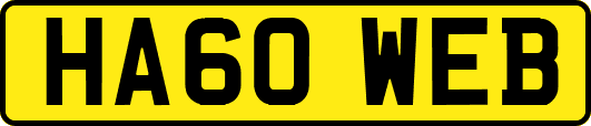 HA60WEB