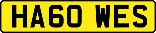 HA60WES