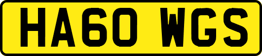 HA60WGS