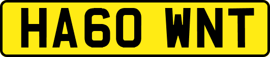 HA60WNT