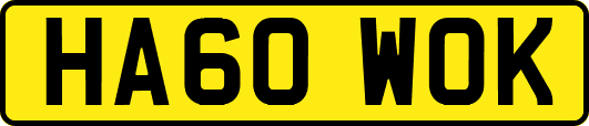 HA60WOK
