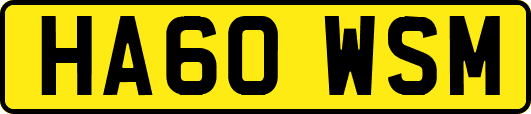 HA60WSM