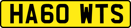 HA60WTS
