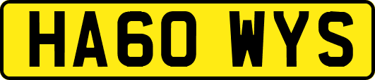 HA60WYS