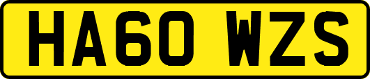 HA60WZS