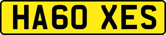 HA60XES